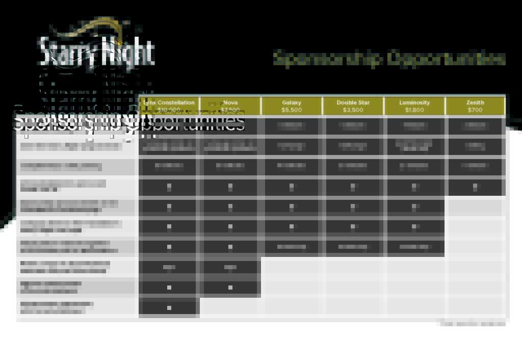 2022 Starry Night Sponsorship Opportunities Chart