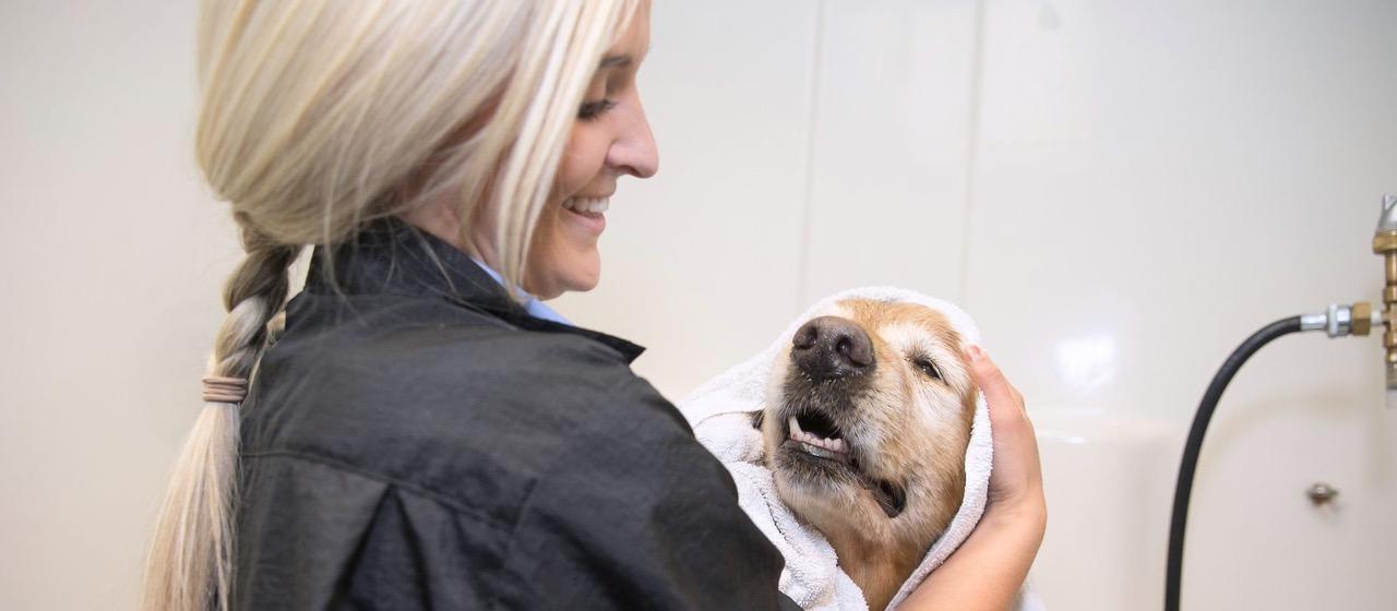 Animal Care Carroll Community College