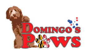 Domingos Paws logo Carroll Community College