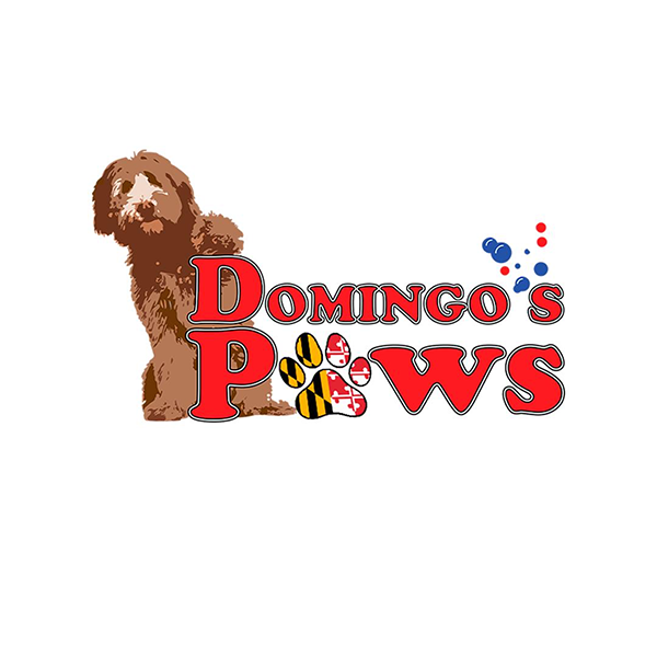 Domingos Paws logo Carroll Community College