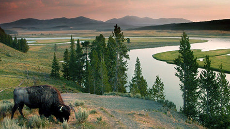 Travel Overnight Excursion America's Cowboy Country Carroll Community College