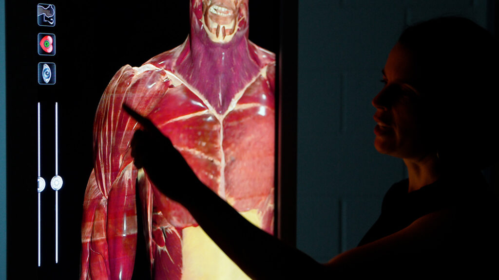 Anatomage table Sarah Licharowicz Carroll Community College