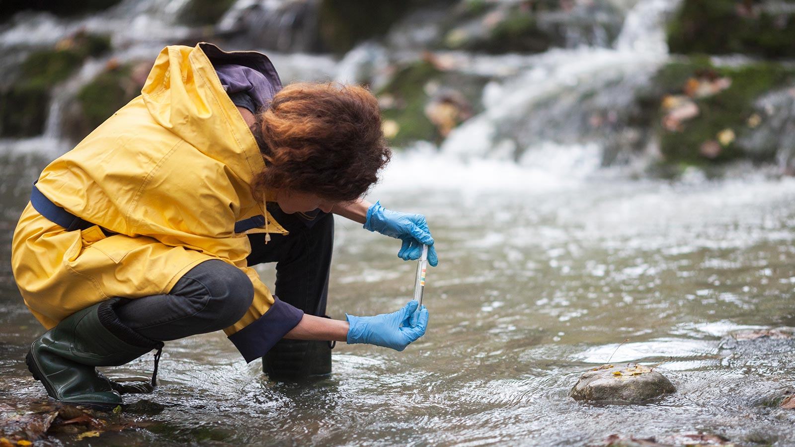 environment-conservation-programs-carroll-community-college