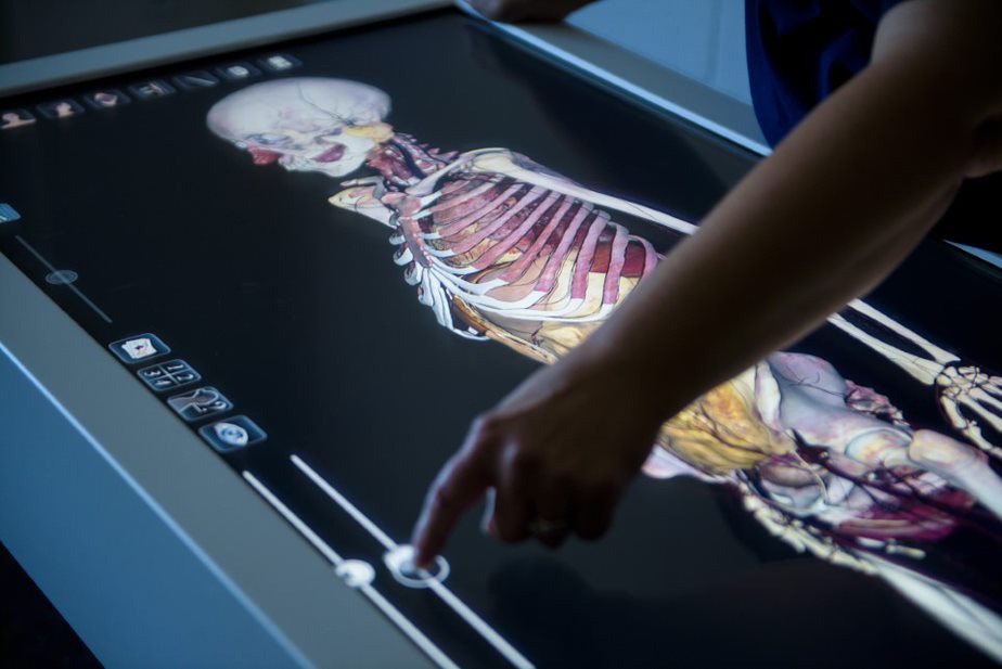 3D Dissection Table