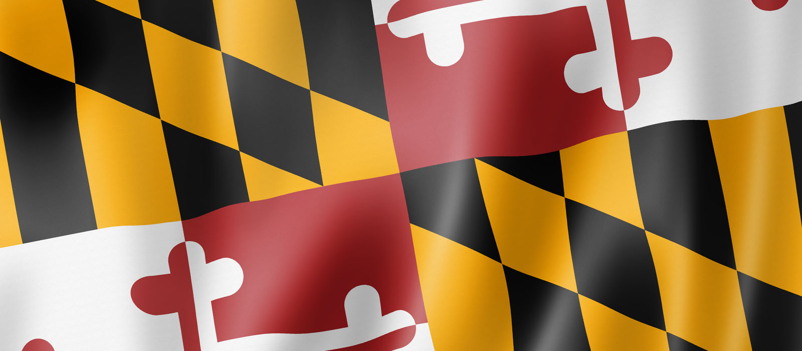 carroll-community-college-participates-in-maryland-association-of