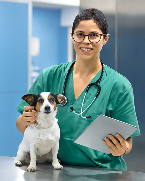 Professional Skill and Job Training Carroll Community College