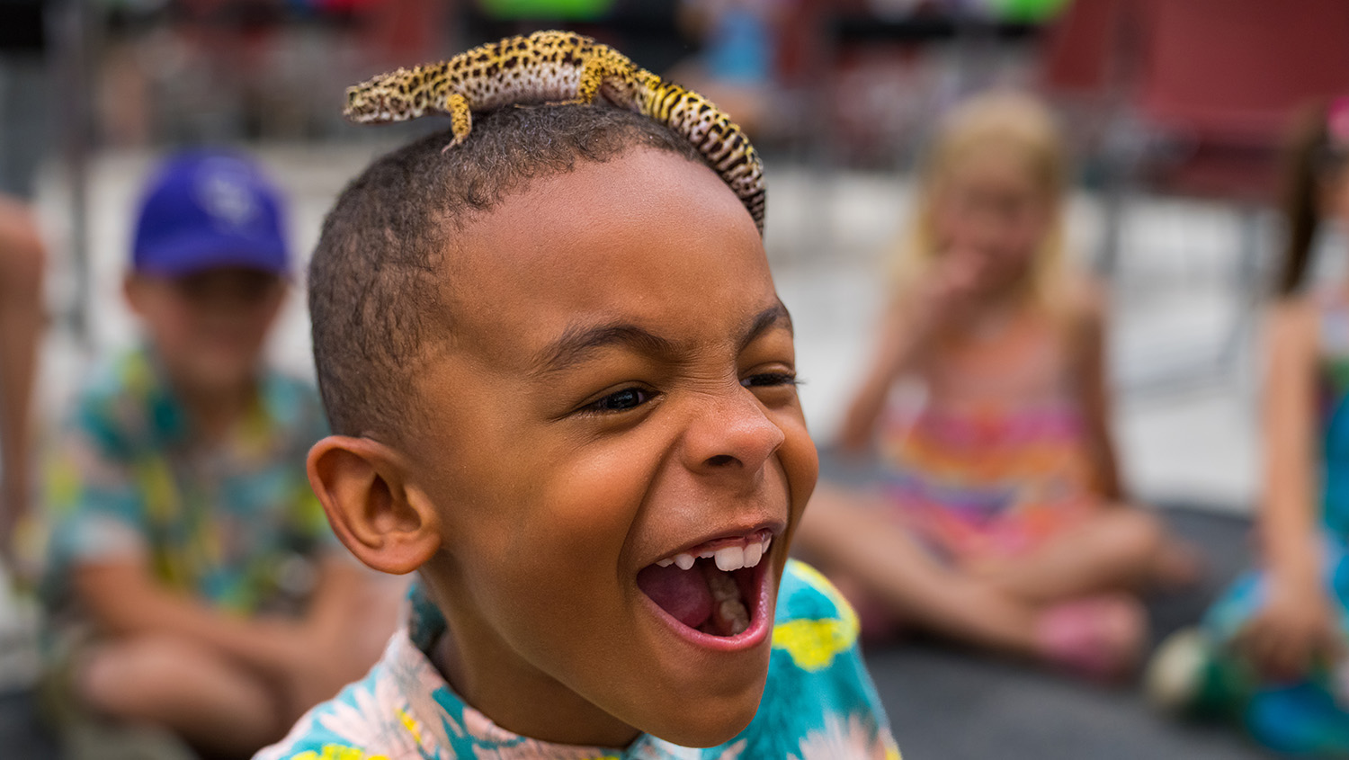 Summer Kids Camp at Carroll Community College
