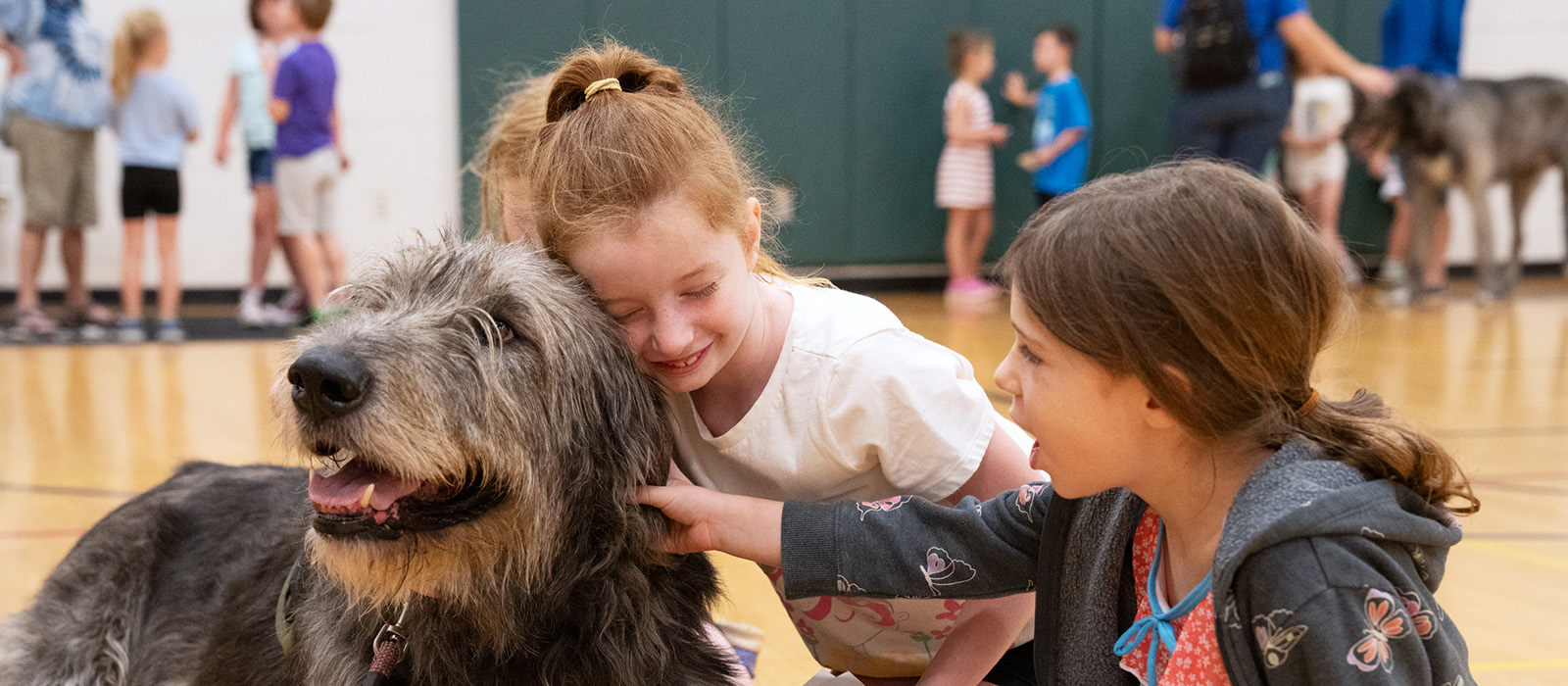 Summer Kids Therapy Dog Hero Carroll Community College